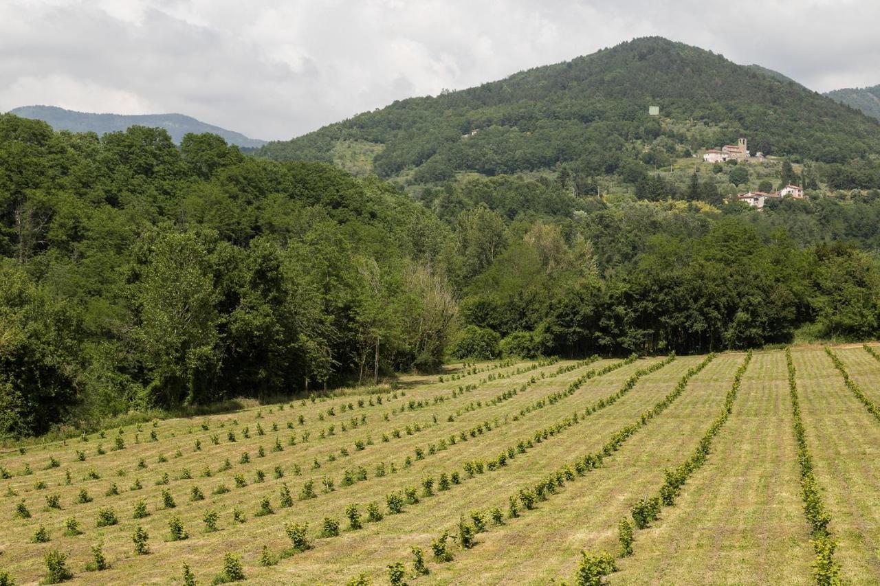Podere Groppini Fivizzano Dış mekan fotoğraf